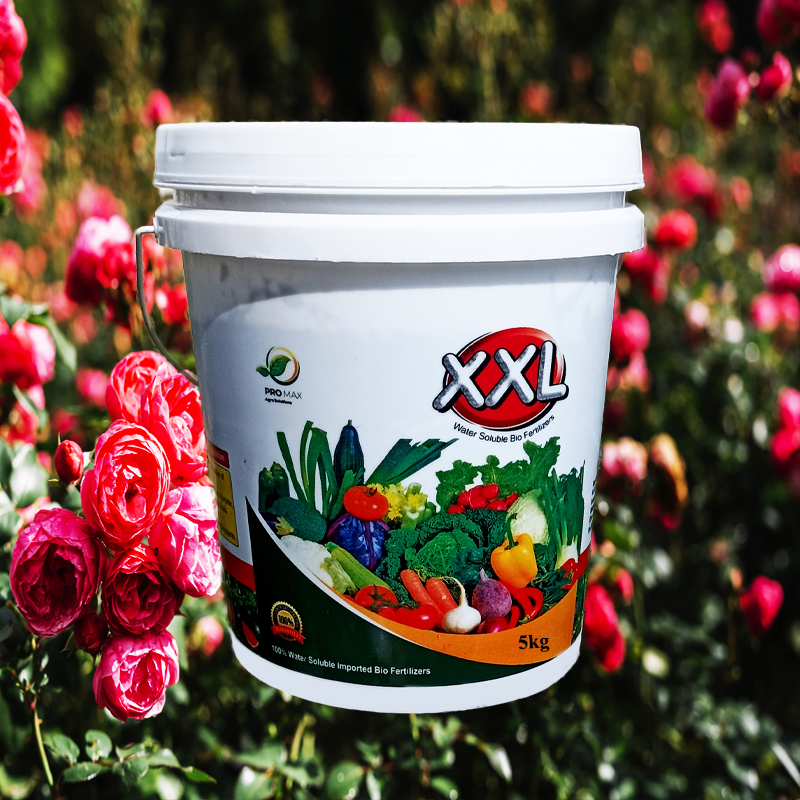 XXL fertilizer is Premium organic fertilizer for gardens, eco-friendly plant nutrients for strong roots and lush growth